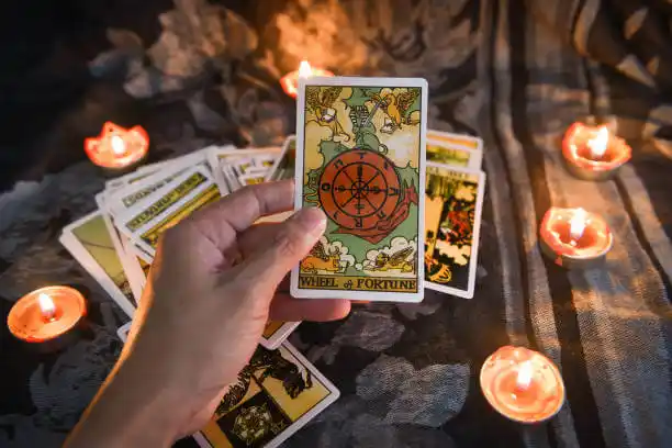 tarot cards Alliance